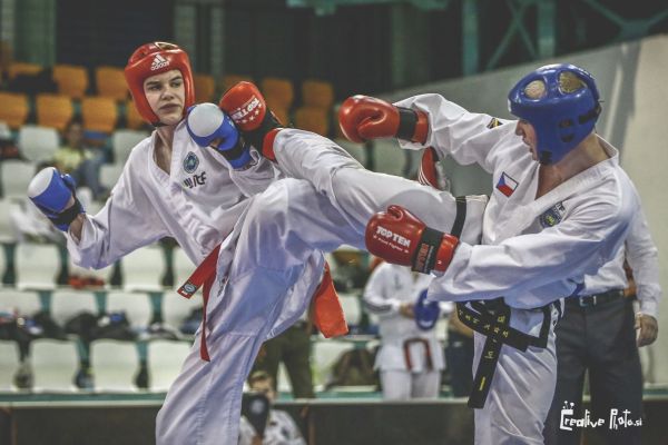 Na Taekwon-Do Nitra Cup 2015 domáci klub druhý najúspešnejší - fotografie a video