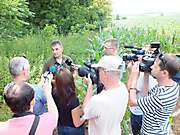 Adopcia mláďaťa Orla kráľovského v pohorí Tríbeč pri Nitre, 9.7.2015_1